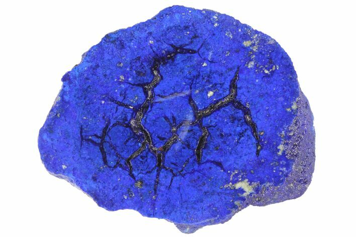 Vivid Blue, Cut/Polished Azurite Nodule - Siberia #94570